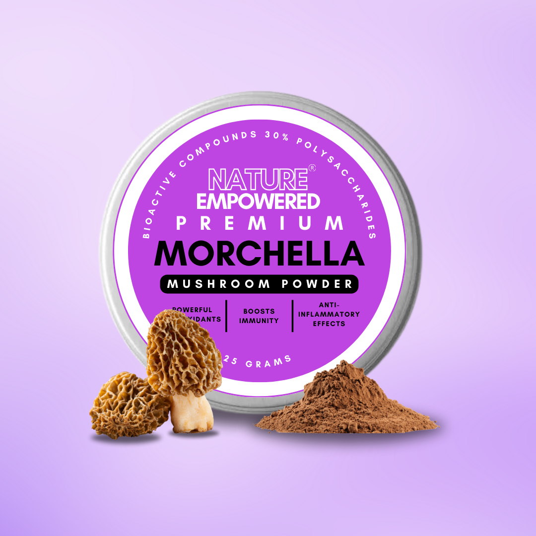 Premium Morchella Mushroom EXTRACT - Powder (30% Polysaccharides)