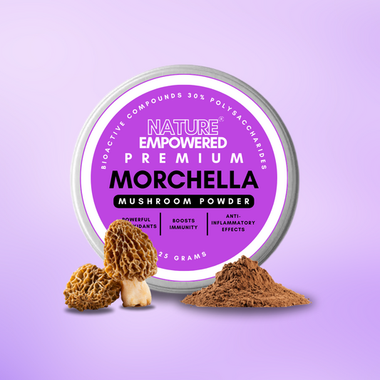 Premium Morchella Mushroom EXTRACT - Powder (30% Polysaccharides)