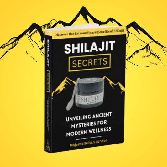 Shilajit Secrets - Paperback