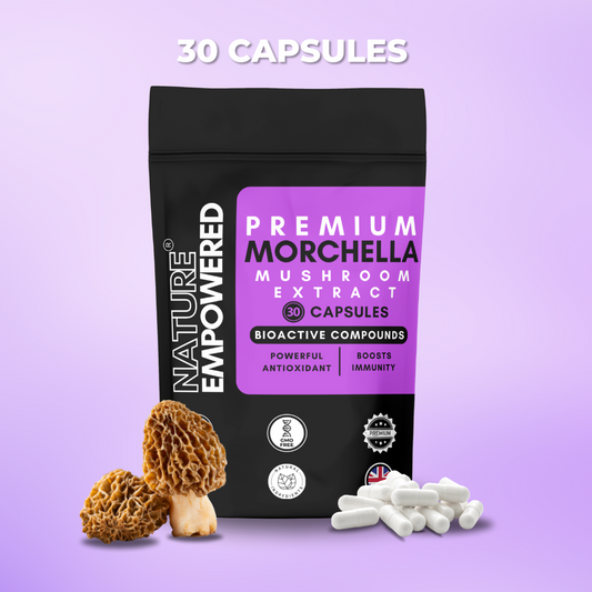 Premium Morchella Mushroom Extract - Capsules (500mg)