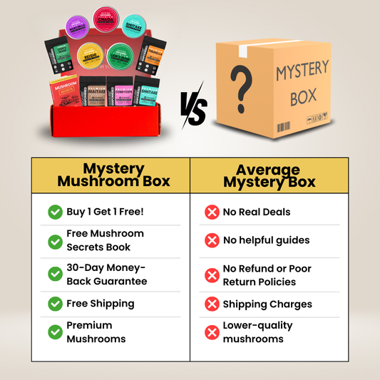 Mystery Mushroom Box - BUY 1 GET 1 FREE