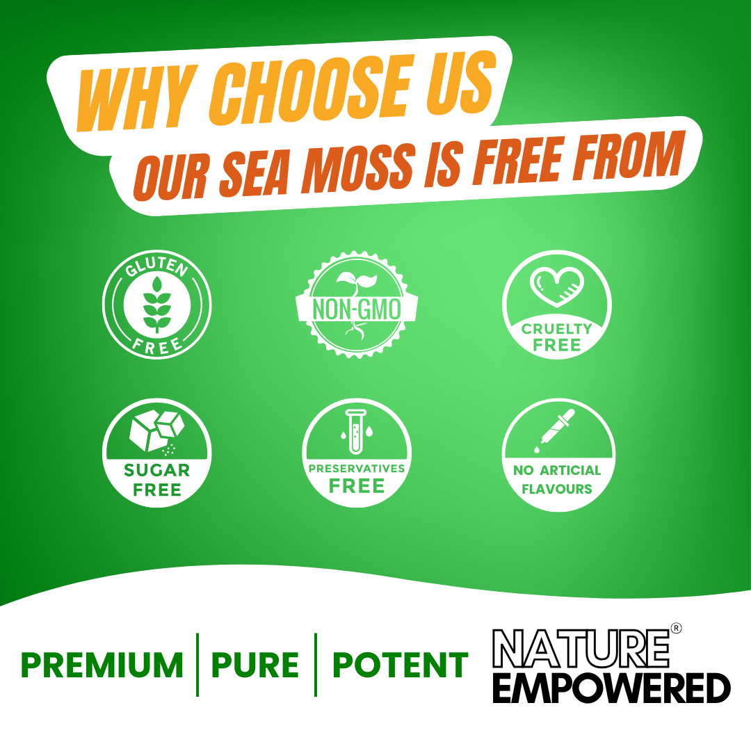Premium Sea Moss - 500mg Capsules (BUY 1 GET 1 FREE!!!)