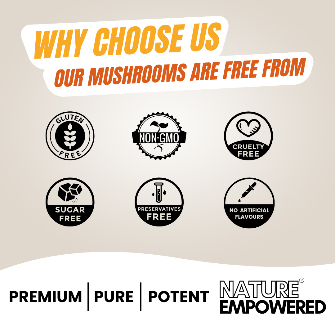 Mystery Mushroom Box - BUY 1 GET 1 FREE