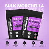 Morchella - Bulk Offer (By Nature Empowered)